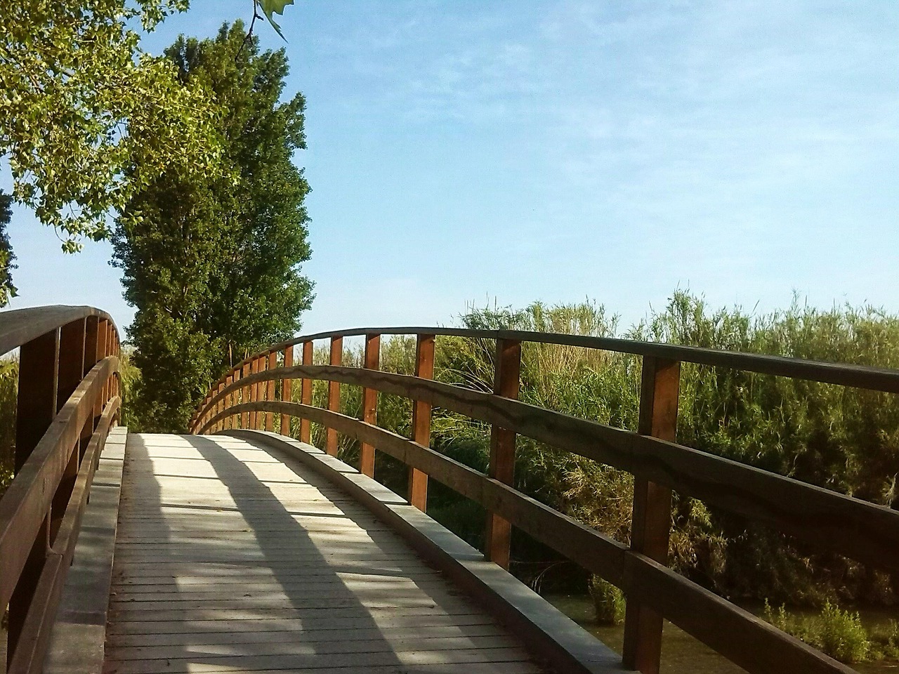 Offerings bridge, tree, path, entrepreneurship, landscape, nature, park, spring, begin, entrepreneurship, entrepreneurship, entrepreneurship, entrepreneurship, entrepreneurship