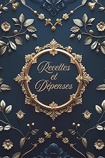 Registre suivi comptable recettes dépenses: Gestion des finances, trésorerie, comptes . Auto-entrepreneur, entreprise individuelle, budget personnel, suivi simple et efficace