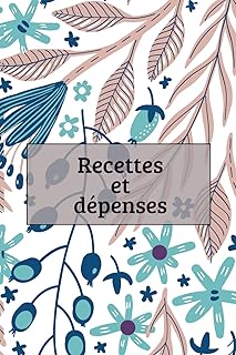 Carnet de Recettes et Dépenses: Suivi simple et efficace des finances /comptabilité / trésorerie – Idéal pour auto-entrepreneurs, petites entreprises ... Registre recettes / dépenses / solde